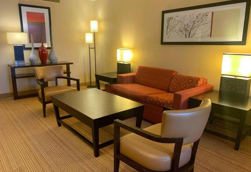 سوئیت با تخت بزرگ, Courtyard By Marriott Buffalo Amherst/university