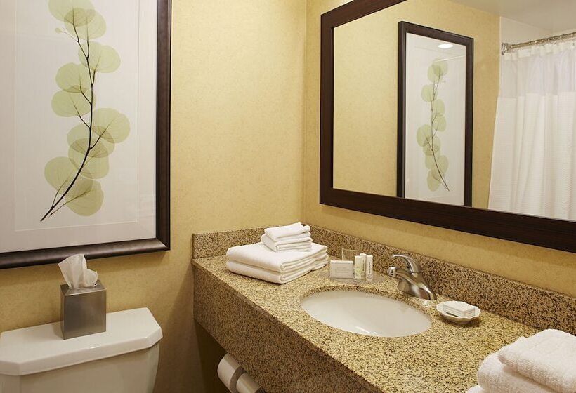 اتاق استاندارد با 2 تخت دوبل, Courtyard By Marriott Buffalo Amherst/university