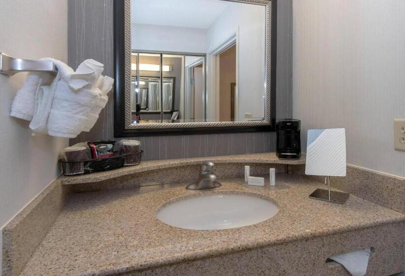 اتاق استاندارد با تخت بزرگ, Courtyard Bymarriott Albany