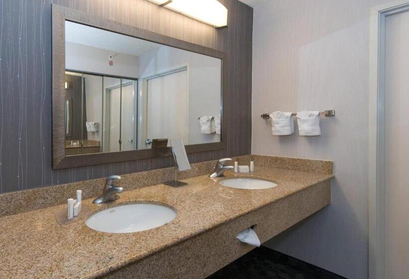 سوئیت با تخت بزرگ, Courtyard Bymarriott Albany