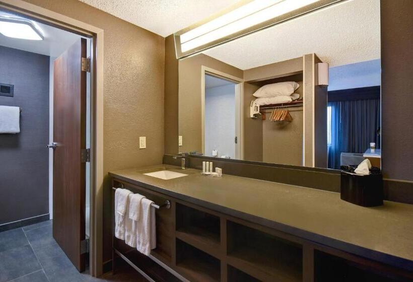 سوئیت با تخت بزرگ, Courtyard By Marriott Cincinnati Airport