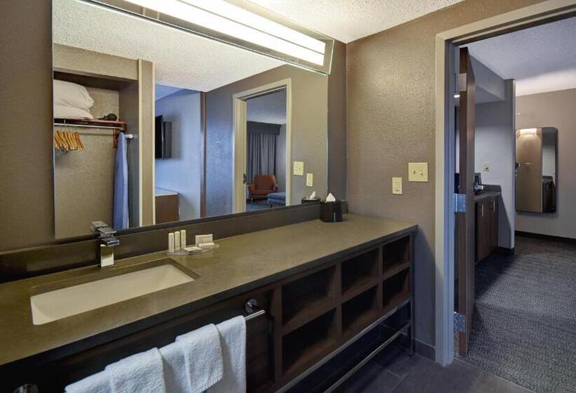 سوئیت با تخت بزرگ, Courtyard By Marriott Cincinnati Airport