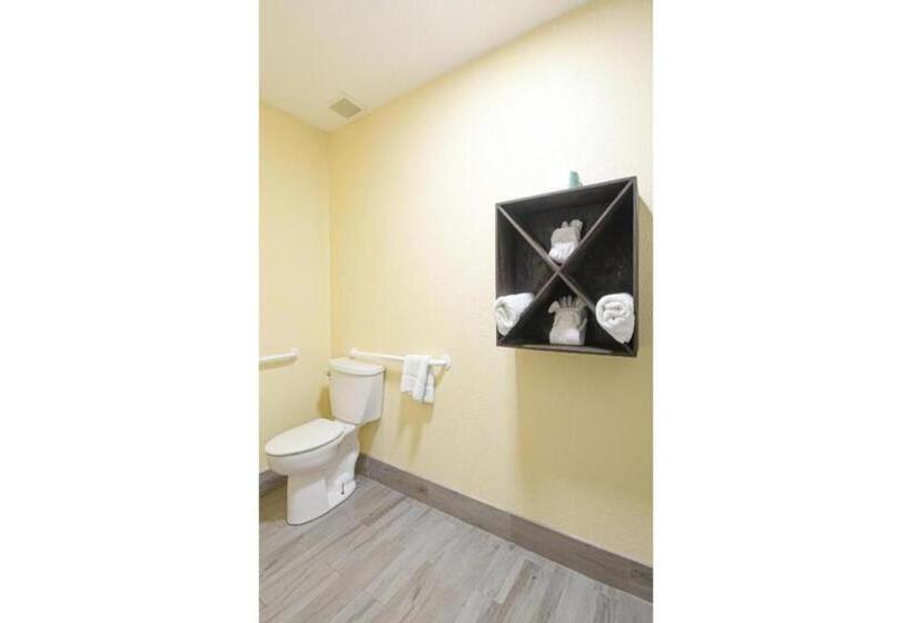 اتاق استاندارد با تخت بزرگ, OYO Hotel Shenandoah Woodlands Mall