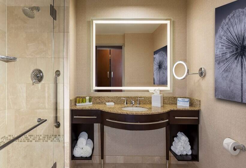 Habitación Ejecutiva, Hilton Americashouston