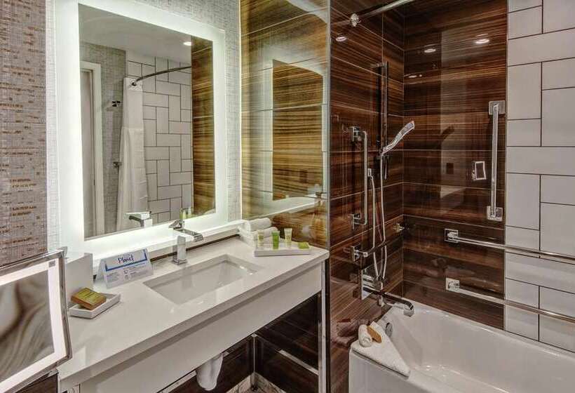 스탠다드 룸, Hilton Americashouston
