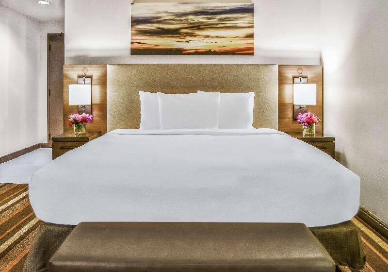 اتاق استاندارد با تخت بزرگ, Hilton Dallas/park Cities
