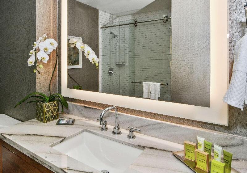 اتاق استاندارد با تخت بزرگ, Hilton Dallas/park Cities
