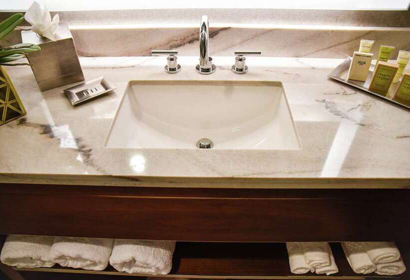 سوئیت جونیور با تخت بزرگ, Hilton Dallas/park Cities