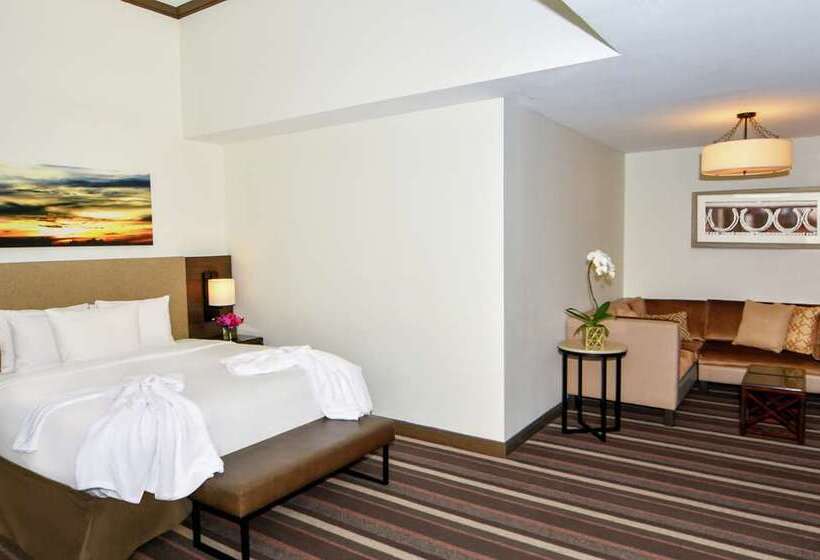 سوئیت جونیور با تخت بزرگ, Hilton Dallas/park Cities