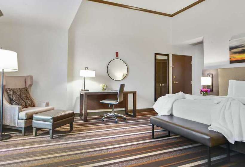 سوئیت جونیور با تخت بزرگ, Hilton Dallas/park Cities