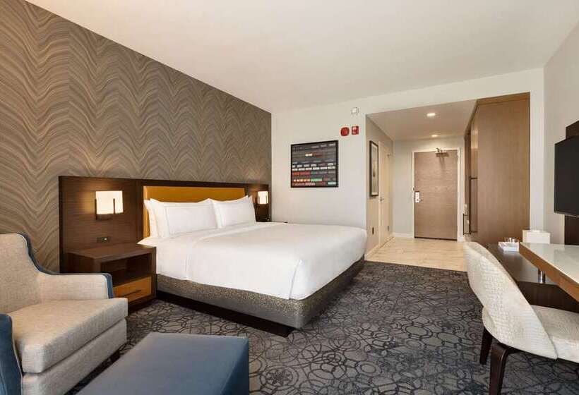 اتاق استاندارد, Hilton Dallas/park Cities
