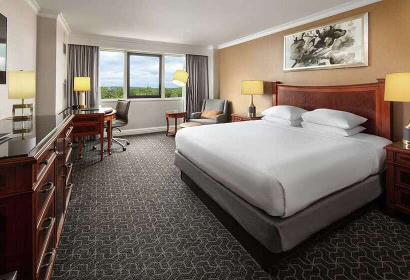 اتاق استاندارد, Hilton Dallas/park Cities
