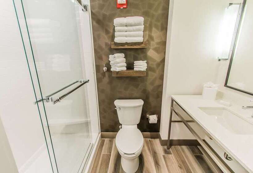 اتاق استاندارد با تخت بزرگ, Hilton Daytona Beach Oceanfront Resort