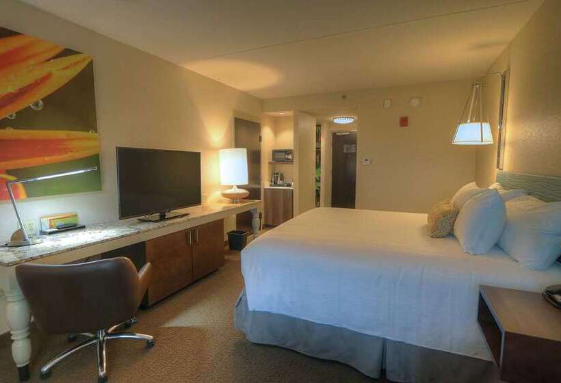 اتاق استاندارد با تخت بزرگ, Hilton Daytona Beach Oceanfront Resort