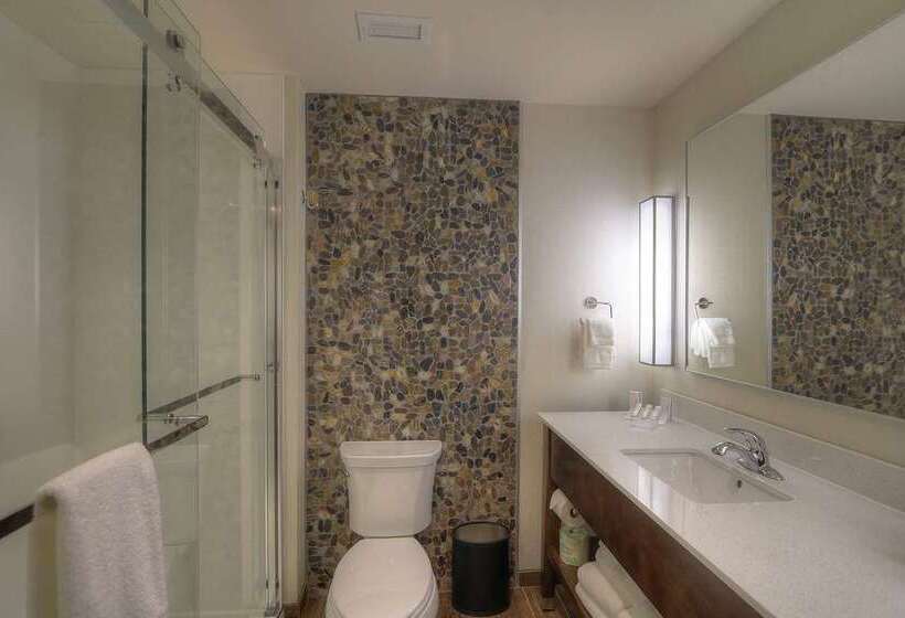 اتاق استاندارد با تخت بزرگ, Hilton Daytona Beach Oceanfront Resort