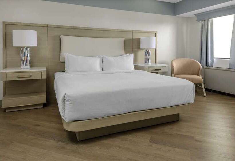 اتاق استاندارد, Hilton Daytona Beach Oceanfront Resort