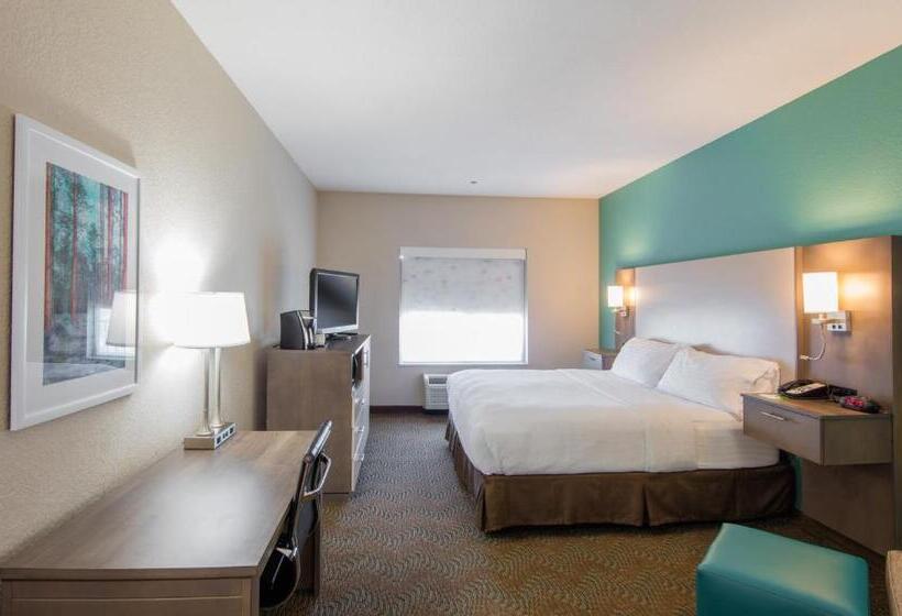 Habitació Estàndard Llit King, Holiday Inn  & Suites Lake City