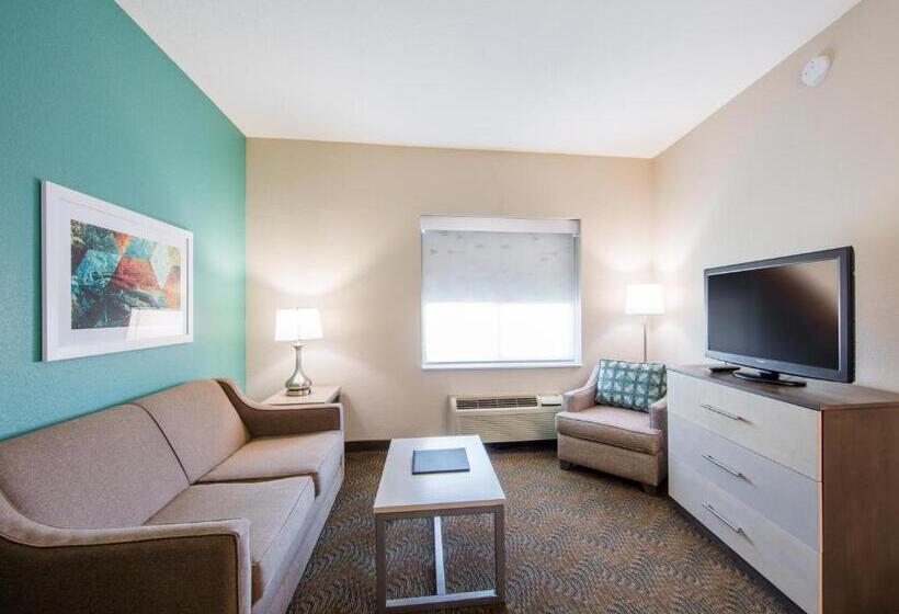 Suite Llit King, Holiday Inn  & Suites Lake City