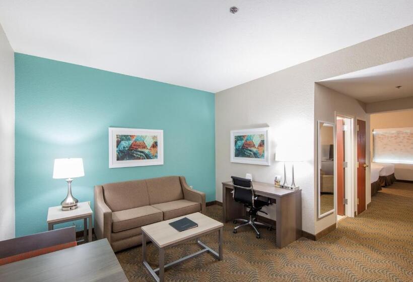 سوییت, Holiday Inn Hotel & Suites Lake City, An Ihg