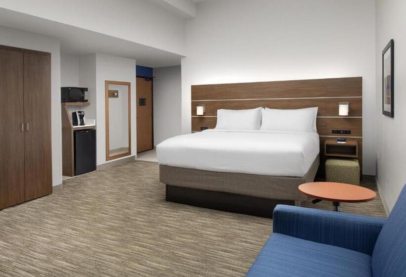 اتاق استاندارد با تخت بزرگ, Holiday Inn Express San Antonio North Riverwalk Area