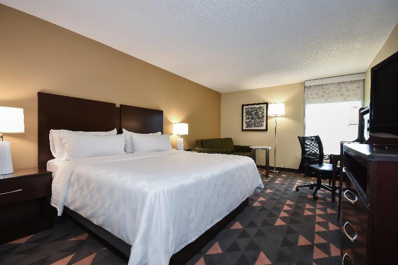 اتاق استاندارد با تخت بزرگ, Holiday Inn Lumberton, An Ihg