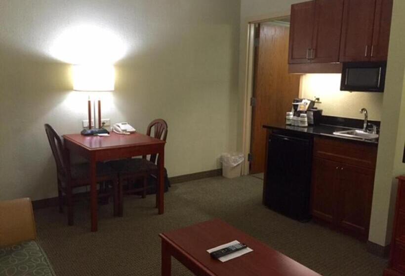 اتاق استاندارد با تخت بزرگ برای معلولان, Holiday Inn Memphis University Of Memphis, An Ihg