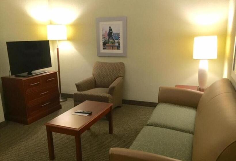 اتاق استاندارد با تخت بزرگ برای معلولان, Holiday Inn Memphis University Of Memphis, An Ihg
