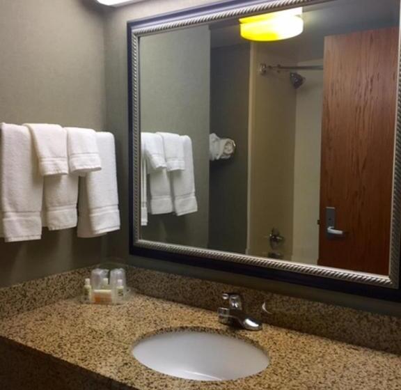اتاق استاندارد با تخت بزرگ برای معلولان, Holiday Inn Memphis University Of Memphis, An Ihg