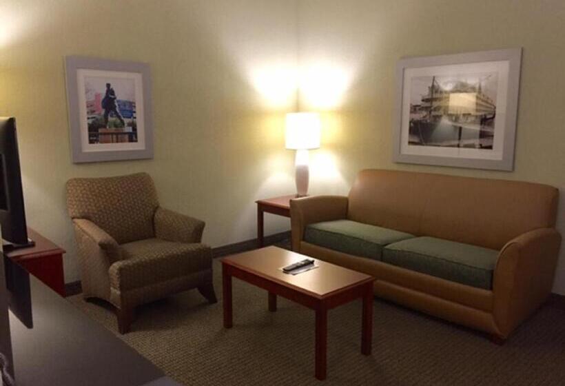 اتاق استاندارد, Holiday Inn Memphis University Of Memphis, An Ihg