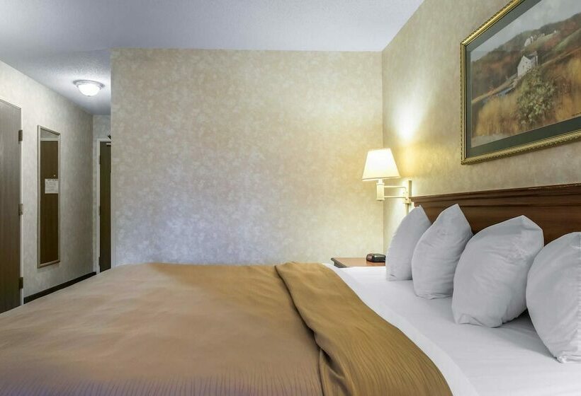 Standard Room Double Bed Adapted for people with reduced mobility, Quality Inn & Suites