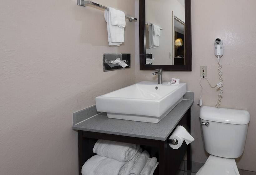 اتاق لوکس, Red Roof Inn Valdosta  University