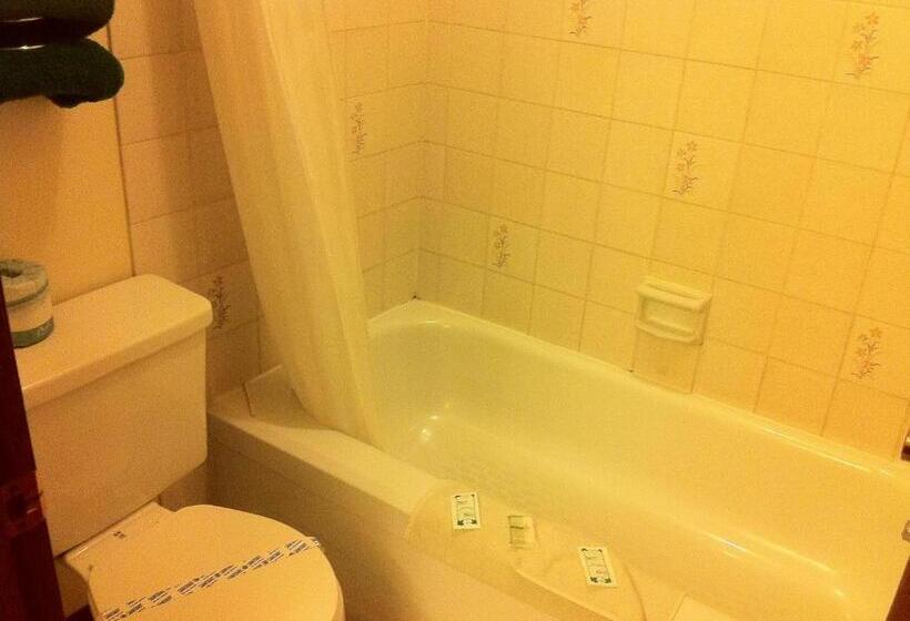 اتاق استاندارد یک نفره, Circle 6 Motel