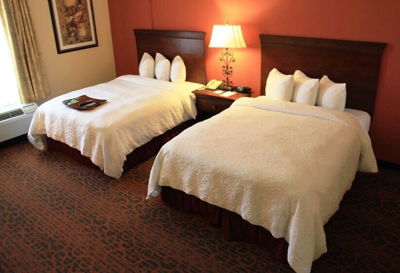 اتاق استاندارد, Hampton Inn & Suites Houston Katy