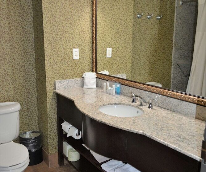 سوییت, Hampton Inn & Suites Houston Katy