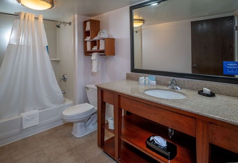 غرفه قياسيه سريرين مزدوجين, Hampton Inn Charlestondowntown