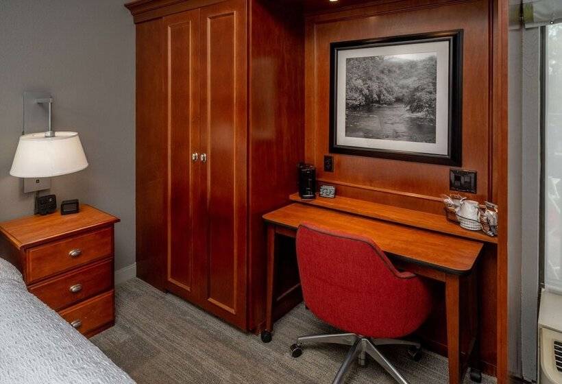 Номер Стандарт 2 Двуспальные Кровати, Hampton Inn Charlestondowntown