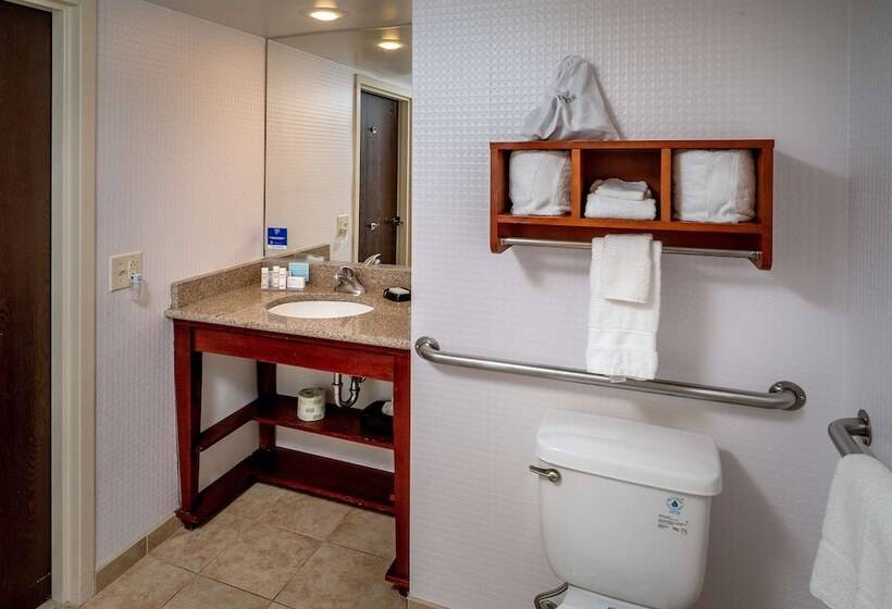 Standard Room Adapted for people with reduced mobility, Hampton Inn Charlestondowntown