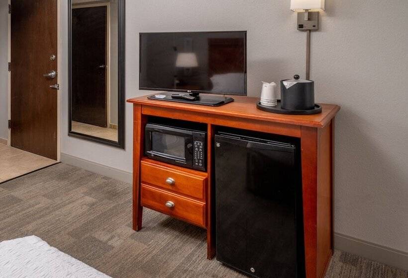 Habitación Estándar Adaptada para Discapacitados, Hampton Inn Charlestondowntown