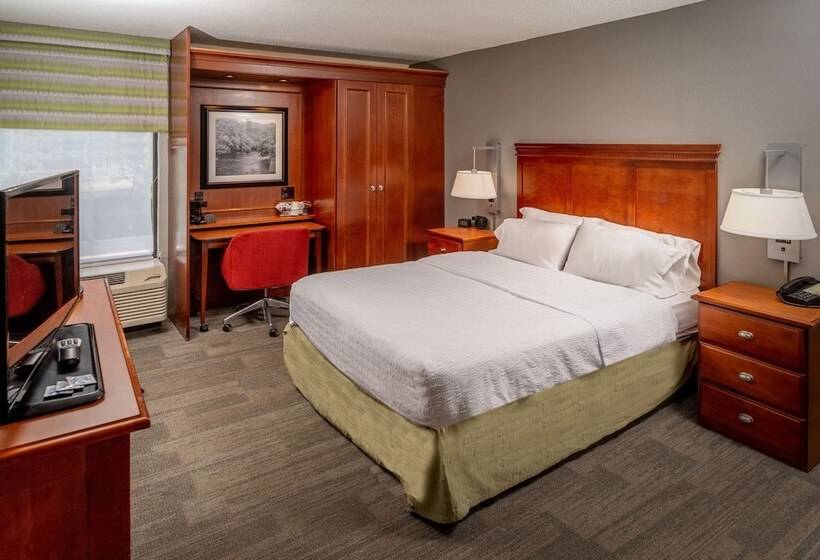 Standard Room Adapted for people with reduced mobility, Hampton Inn Charlestondowntown