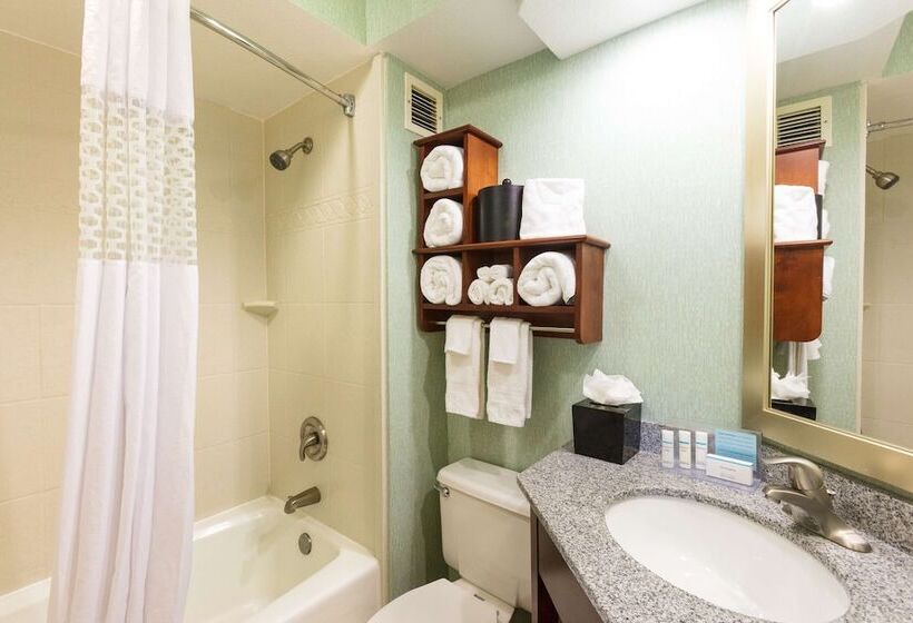 اتاق استاندارد با تخت بزرگ, Hampton Inn Daytona Speedway