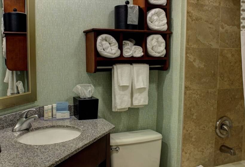 اتاق استاندارد با تخت بزرگ, Hampton Inn Daytona Speedway