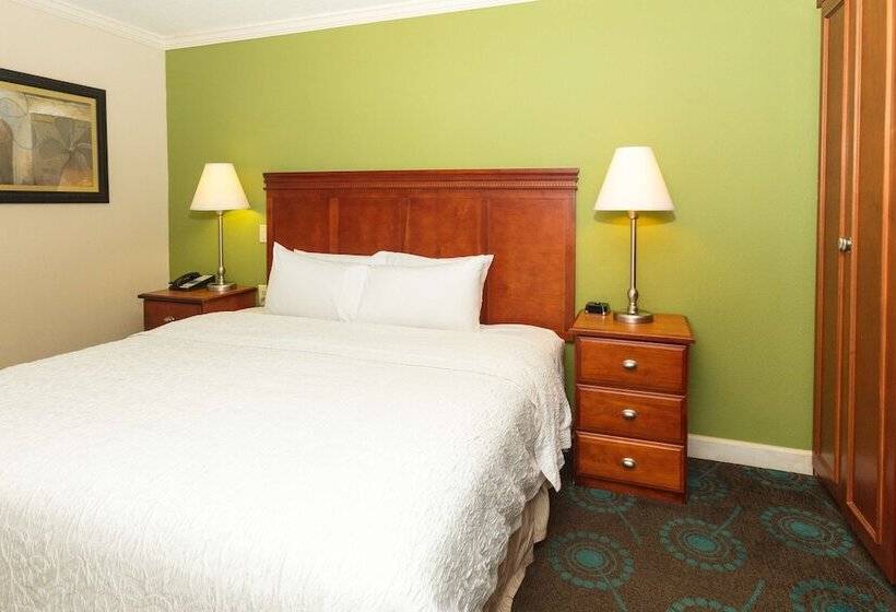 اتاق استاندارد با تخت بزرگ, Hampton Inn Daytona Speedway