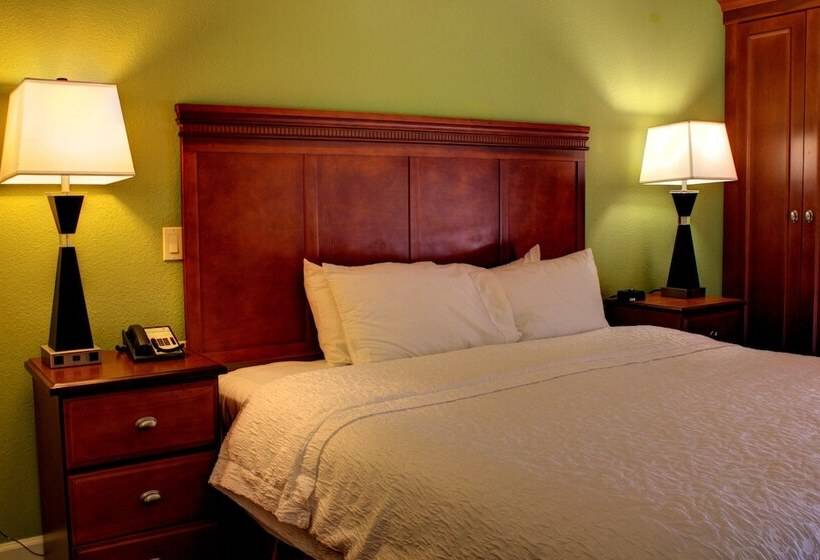 اتاق استاندارد با تخت بزرگ, Hampton Inn Daytona Speedway