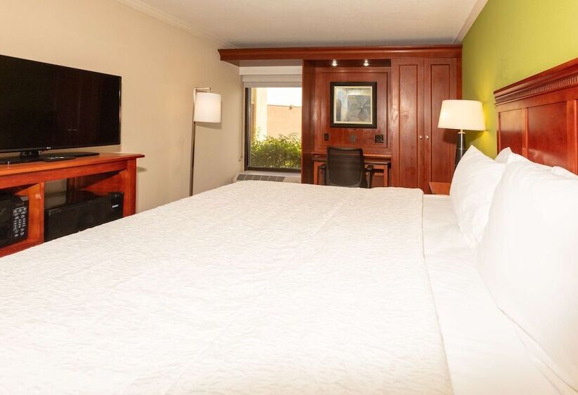 اتاق استاندارد با تخت بزرگ, Hampton Inn Daytona Speedway