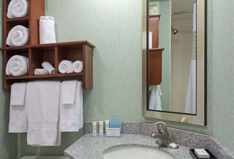 غرفه قياسيه سريرين مزدوجين, Hampton Inn Daytona Speedwayairport