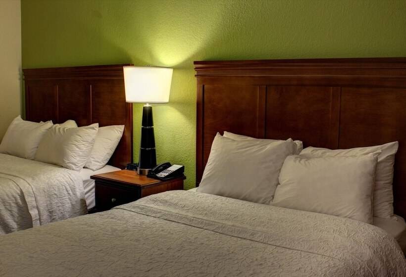 غرفه قياسيه سريرين مزدوجين, Hampton Inn Daytona Speedwayairport