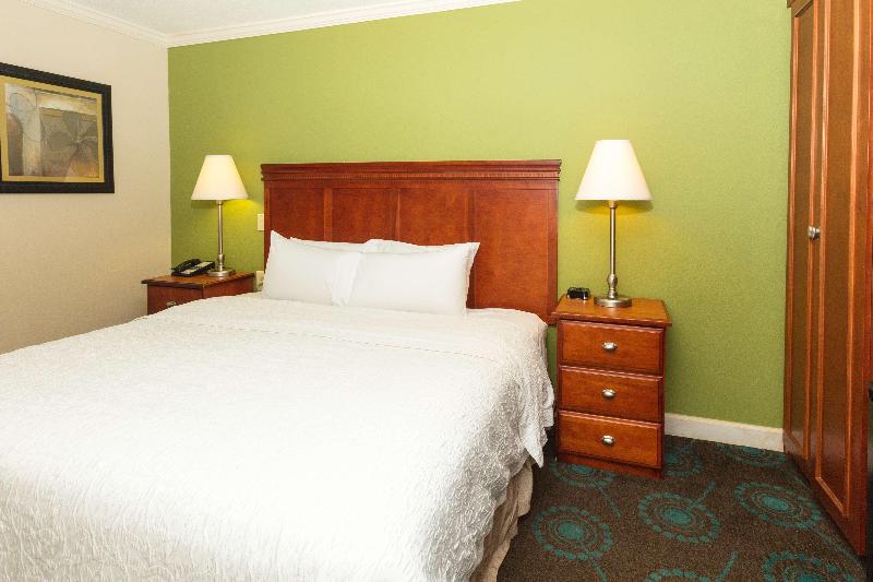 اتاق استاندارد با تخت بزرگ, Hampton Inn Daytona Speedway