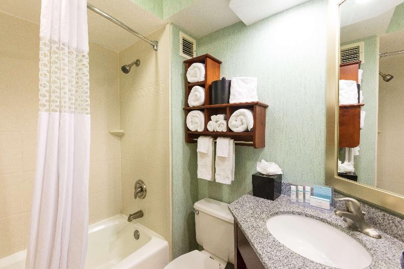 اتاق استاندارد با تخت بزرگ, Hampton Inn Daytona Speedway