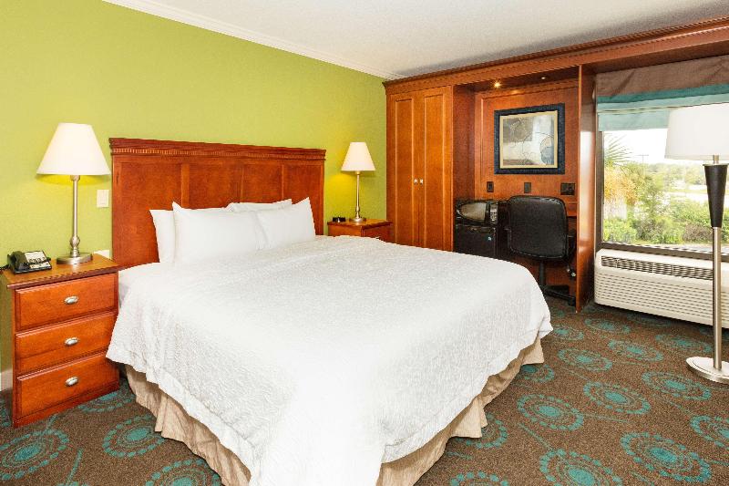 اتاق استاندارد با تخت بزرگ, Hampton Inn Daytona Speedway
