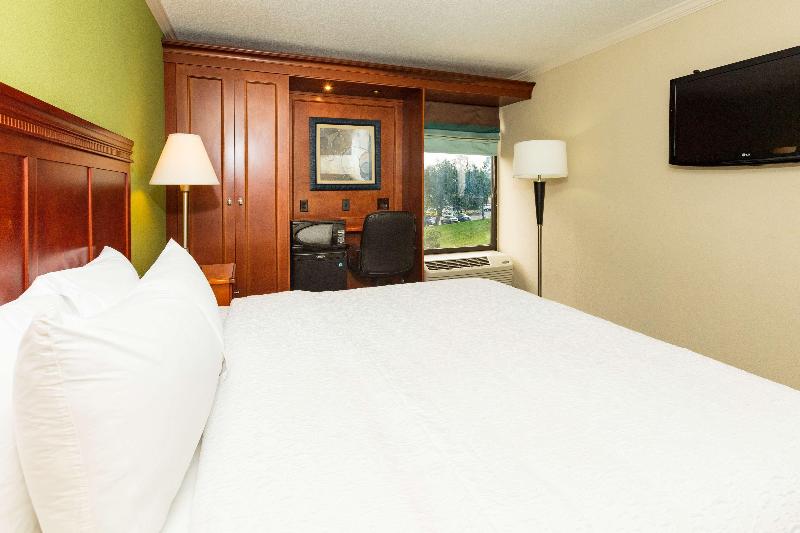 اتاق استاندارد با تخت بزرگ, Hampton Inn Daytona Speedway